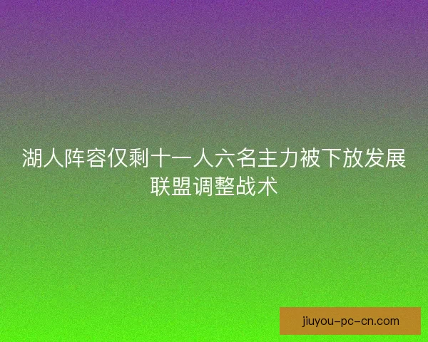 湖人阵容仅剩十一人六名主力被下放发展联盟调整战术