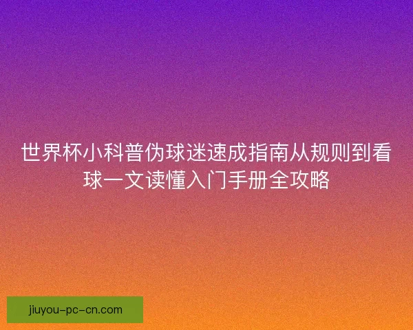 世界杯小科普伪球迷速成指南从规则到看球一文读懂入门手册全攻略